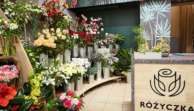Kwiaciarnia Różyczka